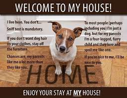 Leashlocket On Twitter Welcome To My House Dog Jokes Dog Rules
