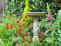 In very small courtyards there probably won't be room for composting so have compostable bags handy to hold any bits and bobs you prune or 5. Creating A Wildlife Garden Courtyards Small Gardens Saga
