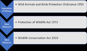 To date, we've supported 76 grants totaling more than $3.5 million for on the ground conservation. Http Irep Iium Edu My 57217 1 Cebu 20maizatun 202017 Pdf