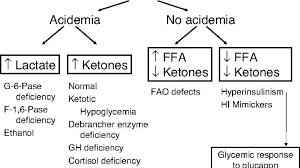 Glucagon helps your liver break down the food you eat to make glucose. Ketotic Hypoglycemia