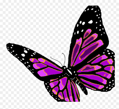 Check spelling or type a new query. Transparent Butterfly Woman Clipart Orange Butterfly Transparent Background Hd Png Download Vhv
