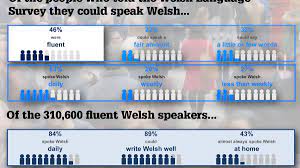 They are the future of the language, but what do they really think about the language and. The State Of The Welsh Language Number Of People Speaking Welsh Fluently Falls By 7 000 Over The Last Decade Wales Online