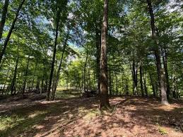 Taghkanic NY Real Estate & Homes for Sale