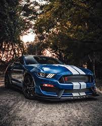 Pin By Esmeralda Garcia On Super Fantastic Cars Ford Mustang Shelby Mustang Cars Mustang Shelby