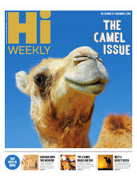 Camel milk is characterized by a relatively powerful protector system compared to milk of other species 71. Hi Weekly 1 12 2016 Camel Issue By Muscat Media Group Issuu