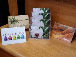 Maybe you would like to learn more about one of these? Olney S Flowers Of Rome Ny Rome New York Flower Shop