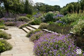 Reclaimed York Stone Stone Uk Garden Design Acres Wild Photo Ian Smith Country Gardening Garden Shrubs Landscaping On A Hill