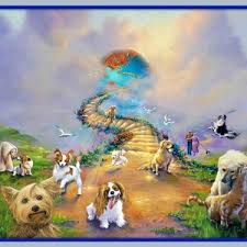 Dogs love to chew on bones, run and fetch balls, and find more time to play! Rainbow Bridge All Dogs Go To Heaven Vivid 11x14 Matted 8x10 Etsy