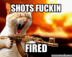 Bildergebnis für shots fired