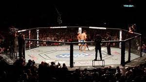 Mixed Martial Arts - Wikipedia
