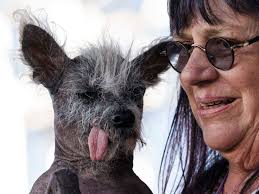 Meet the 2023 World's Ugliest Dog contestants