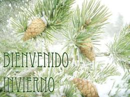 Se caracteriza especialmente, porque ya sea al correspondiente al verano o al invierno, se observará una marcada diferencia entre el día y la noche, respectivamente. Pin En Imagenes De Invierno