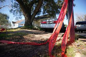 Little gem magnoilia tree // 3 & 15 gallon trees for sale! Houston Police Release Search Warrant From Drug Raid That Left Five Officers Injured