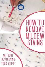 34 Best Remove Mold On Clothes Ideas Mold On Clothes Get Rid Of Mold Cleaning Hacks