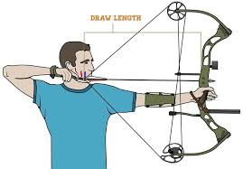 Archery 101 Bow Types Three Rivers Park District