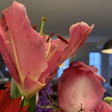 Check spelling or type a new query. Designs By Guzzardos 50 Photos 16 Reviews Florists 1300 Woodward Hgts Ferndale Mi Phone Number Yelp