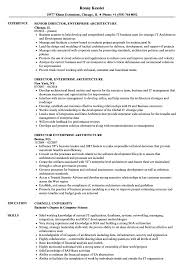 director, enterprise architecture