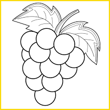 Bicara tentang gambar sketsa, sudah kita bahas pada pembahasan sebelumnya yaitu sketsa hello sketsa buah buahan berupa gambar apel ini bisa dijadikan sebagai referensi untuk mewarnai anak. 100 Sketsa Buah Buahan Terbaik Paling Mudah Digambar Sindunesia