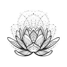 Decorazione paisley disegnata a mano. Illustrazione Di Zen Del Fiore Di Loto Disegno Lineare Stilizzato Complesso Isolato Su Fondo Bianco Illustrazione Vettoriale Illustrazione Di Fiore Isolato 86110091