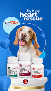 Safeheart Key To Dog S Heart Rescue Dog Medicine Congestive Heart Failure Heart Support