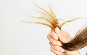 Most individuals end up with dry hair as a result of a combination of these factors. Fine Hair Care Oily Roots Dry Ends Prevention Women S Health