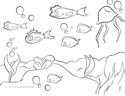 Muscheln, ein seestern und ein fisch. Ausmalbilder Irokesenfische Qualle Ausmalbilder Zum Ausdrucken Malvorlagen Weihnachten