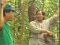 Macam taw taw ja aku lapaq. Drama Brunei Carik Carik Bulu Ayam Bhg Pertama Part 02 Mp3 Mp3 Download