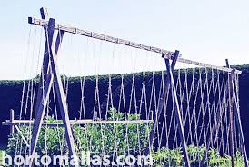 Maybe you would like to learn more about one of these? Using A Net To Trellis Beans Improves Air Flow And Decreseases Pathogens