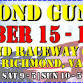 Richmond Gun Show* event image