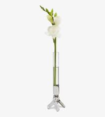 600+ vectors, stock photos & psd files. Flower Vase Clip Merci Png Flower Base Long Flower Vase Transparent Free Transparent Png Download Pngkey