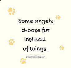 His loss not only affects you but all of us. 90 Sympathy Quotes For Loss Of Pet And Pet Loss Messages