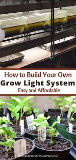 This diy indoor grow light system is a simple and affordable setup that is perfect for starting seeds for your vegetable garden, growing vegetables indoors, and providing light for your indoor herb garden. Build Your Own Grow Light System Raised Vegetable Gardens Home Vegetable Garden Starting Seeds Indoors