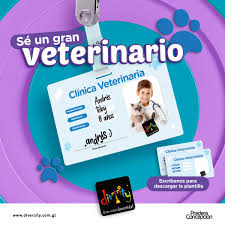 Check spelling or type a new query. Celebra El Dia Del Veterinario Divercity Guatemala Facebook