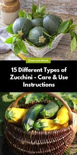 Check spelling or type a new query. Pin On Edible Gardening