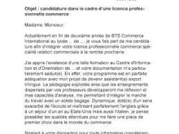 La lettre de motivation parcoursup consiste à rédiger une lettre propre à chaque vœu formulé sur le site parcoursup. Exemple Lettre De Motivation Licence Informatique Le Meilleur Exemple