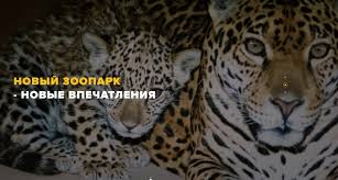 Открыть зоопарк в харькове планируют в день города 23 августа. Mtbcah3 Rxxi0m