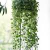 An extender hook is a great option for hanging plants on a porch—the sturdy wrought iron will easily hold heavy hanging baskets. 1