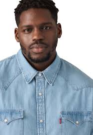 Levi's Men's Big & Tall Classic Western Button Down Shirt, Franklin Stone  Wash, XXL : Amazon.co.uk: Fashion