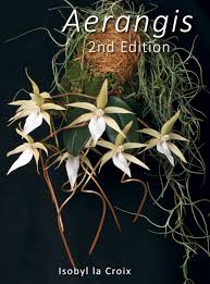 Image result for Aerangis ugandensis
