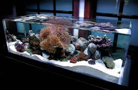 I have never owned one, but do worry about the possibility of stressing the fish by setting something on the table, not to mention the fact that i am clumsy and often stub my toe on the table we do have. The 1 Million Aquarium Customized Fish Tanks As Home Decor Wsj