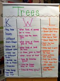 trees kwl chart creative curriculum preschool teaching