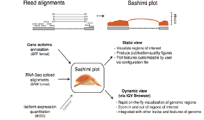 Quantitative Visualization Of Alternative Exon Expression From Rna Seq Data Analysis Of Rna Sequencing Rna Seq Visualisation Data Visualization Expressions