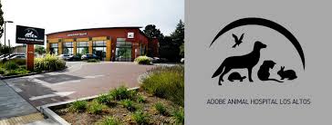 I realize that los altos is an affluent area, but so is the marina. Adobe Animal Hospital Los Altos Ca