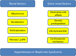 Frontiers Hypertension In Childhood Nephrotic Syndrome Pediatrics