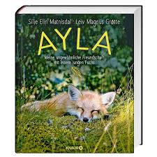 For your convenience mconvert has online euro to romanian leu (eur vs ron) history chart and a table of popular currency pairs with their latest exchange rates for 01/04/2021. Ayla Vivat De