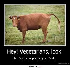 Pin By Madera Sorrels On I Love Cows Cows Funny Humor Funny Pictures