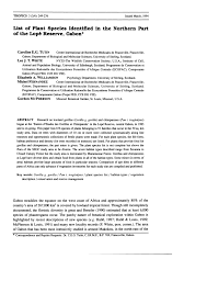 Image result for Pseudocalyx ochraceus