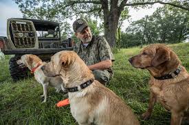 Look for a new food that doesn't include any. How To Transition To A New Dog Food Mossy Oak