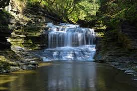 Explorer Spotlight: Jacob Sells