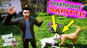 Duman Disi Pitbull Gorunce Sapitti Gta 5 Faruk Un Hayati Youtube